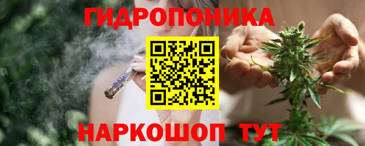 МАРИХУАНА сатива Сертолово
